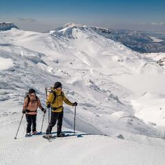 Men's Everbreath Primo Jacket,OLIVE YELLOW, small image number 26