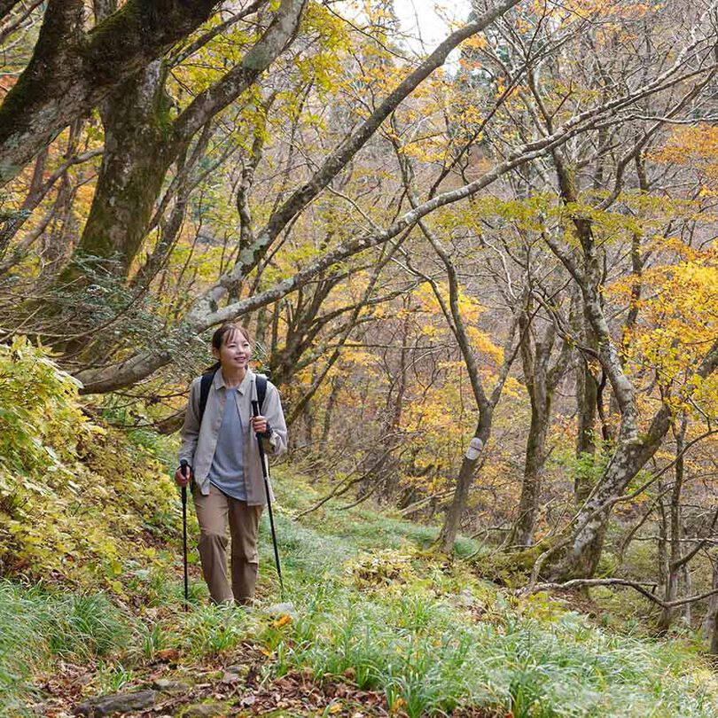 Women's Japanese Heritage Color Shirt,NAVY KIKYO, medium image number 6
