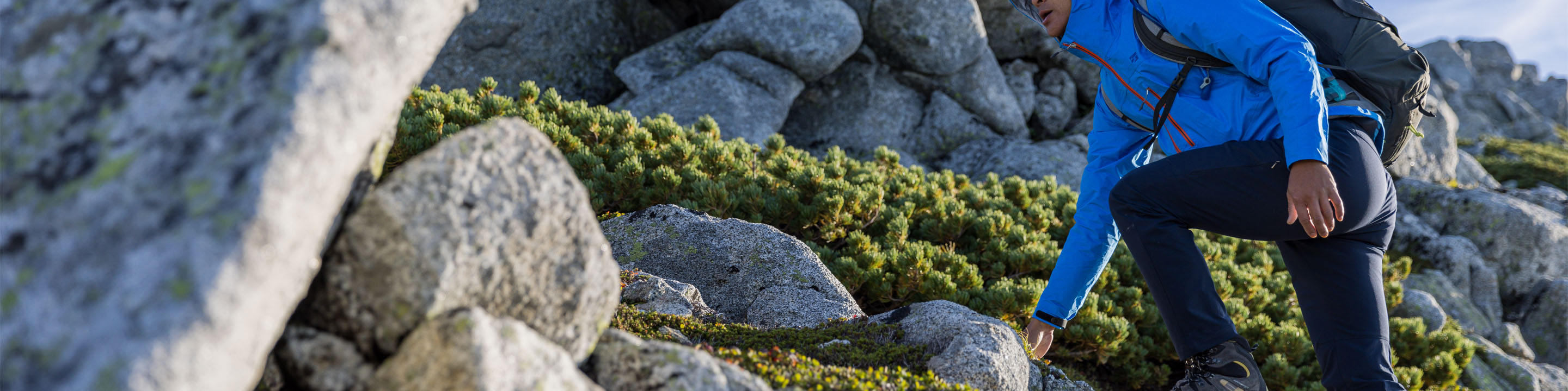Hiking & Trekking banner